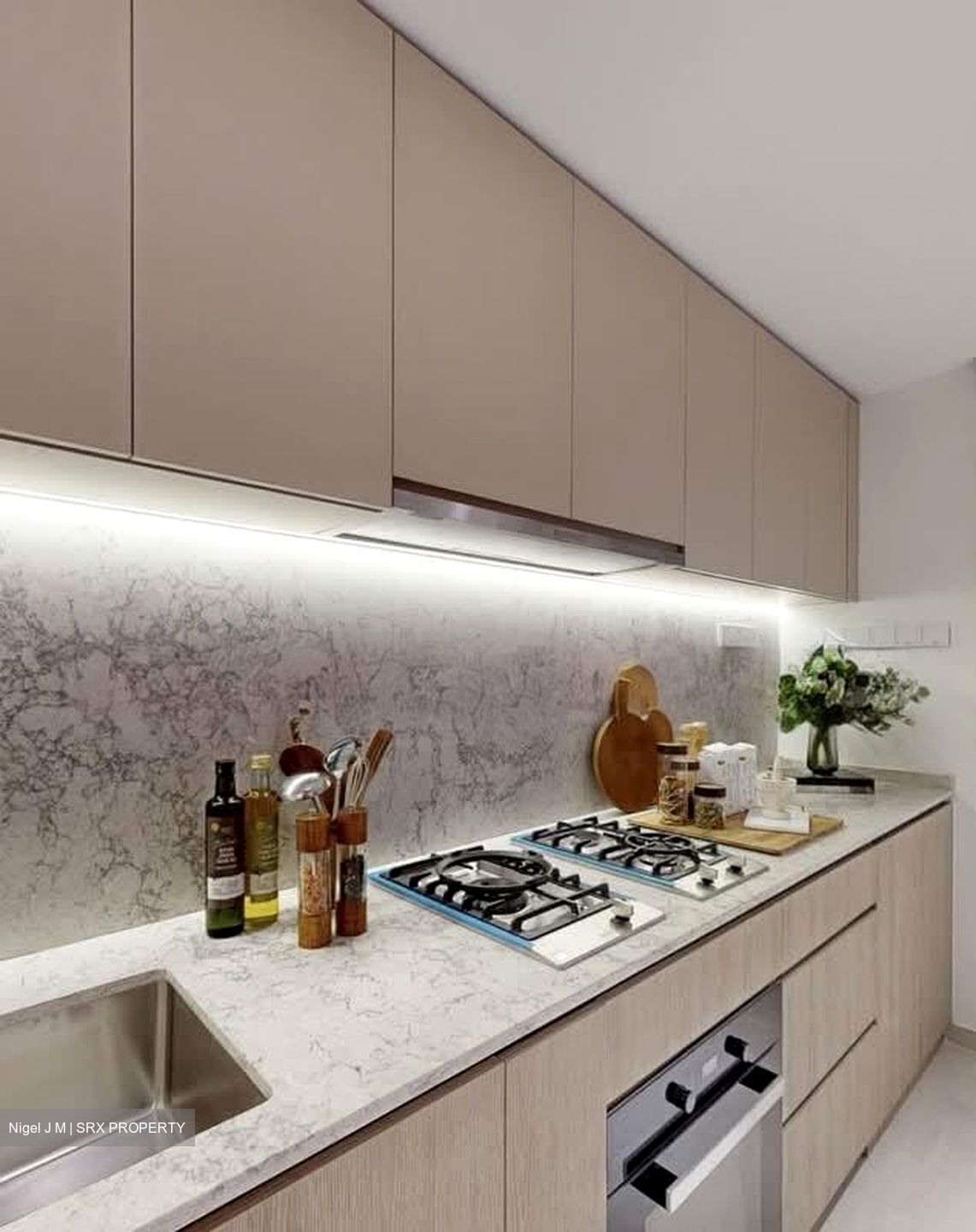 Hudson Place Residences (U/C) (D5), Apartment #550041991